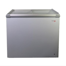 Ice Cream Freezer Glass Flat Top Fridge Star 197L 815 X 575 X 865